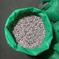 لوبیا چیتی بوجاری شده