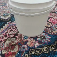 سطل