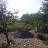 گلستان ارمک معاوضه