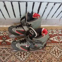 کفش اسکیت