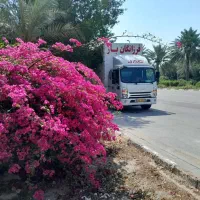 فرزانگانبارمجموعه کامیون 6.5متری برای حمل وسایل