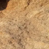 کاه زرد