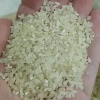 نیم دانه کامفیروزی