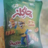 استخدام ویزیتور