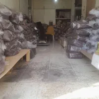 کشمش تاک هوشیار