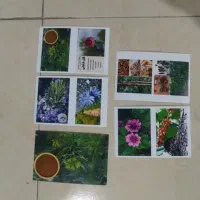 پرینتر کنون