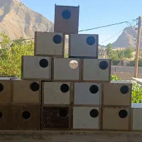 لونه پرنده