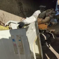 کبوتر فروشی