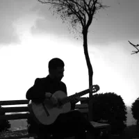 آموزش تار و ستار وگیتار پاپ وفلامنکو آسان ‌و سریع