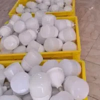 لامپ ۳۰ وات ۵۰ وات و ۶۰ وات زیر قیمت