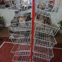 استند ،چیپس وپفک دو طرفه
