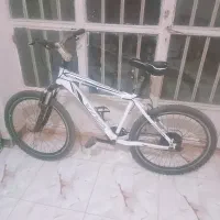 یک عدد دوچرخه ۲۶ ویوا
