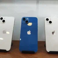 13 normal