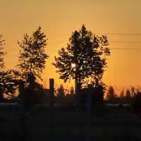 نگهبان و سرایداری باغ