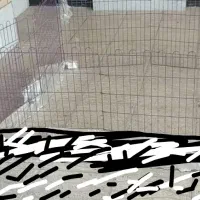 قفس سگ