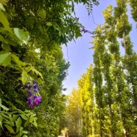 زمین ۱۰۰۰متری دونبش