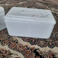 یخدان  نو   ( اکاستیو )