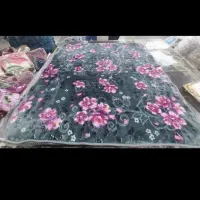 آگهی عرضه پتوباکالابرگ