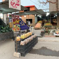نیروی کار