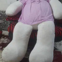 خرس بزرگ 2متری