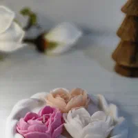 گیفت افسون عشق