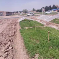 انواع نهال صیفی‌جات  بادنجان فلفل  کوره بامیه