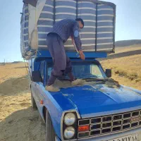 کاه دیم درجه یک گندم