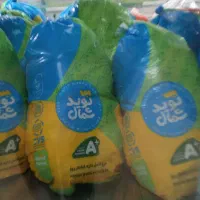 مرغ و تخم مرغ تازه در رودباری