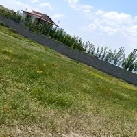 زمین ویلایی شهریار امندی کوی ویلایی