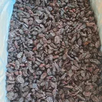 مویزبدون هسته ابگیری ازبک