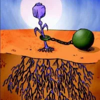 ترک اعتیاد بدون درد وخماری