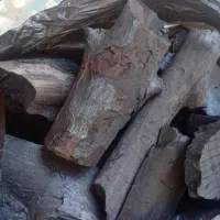 ذغال آجیلی