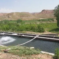 نیروی کار در پرورش ماهی