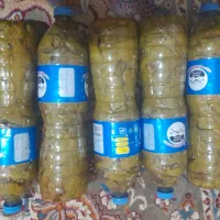 برگ شور