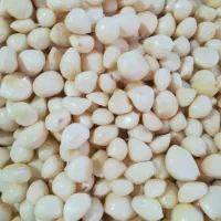 نیروی کار خانم و آقا