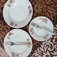 ظروف