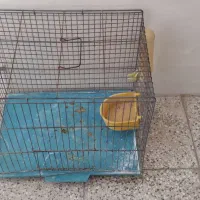 قفس پرنده