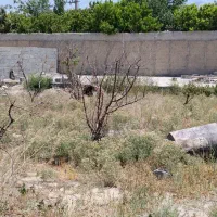 زمین متراژ300به بالا