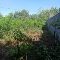 فروش زمین مسکونی ۳۰۰ متری در روستای گیلوا
