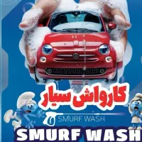 کارواش سیار در محل شما