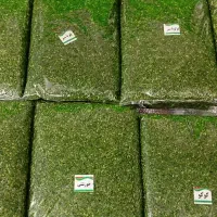 استخدام نیرو خانم درمحله پردیس کرمانشاه