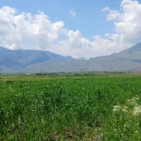 باغ وزمین کشاورزی