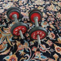 وزنه بدنسازی