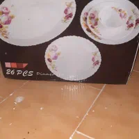 سروس  چینی ارکوپال پلم