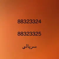 دو خط تلفن سریالی