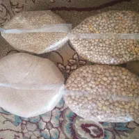 گندم و حبوبات