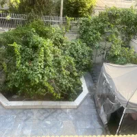 خوابگاه دخترانه صادقیه
