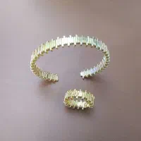 بدلیجات