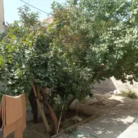 ۱۷۰ متر کلنگی قابل سکونت،۲خوابه،کهندژ