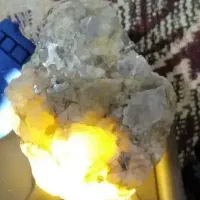 صدف خوشکل قدیمی بینظیر